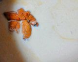 ★激ｳﾏ★生ｳﾆのｸﾘｰﾑﾊﾟｽﾀ作り方4写真