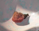 梅干し。作り方44写真