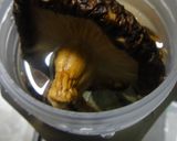 シェフ直伝！昆布と干し椎茸で万能だし！作り方3写真