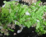 白菜とひき肉のカレークリームパスタ作り方4写真