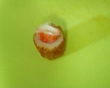 お弁当に✿ちくわ×かにかまのお花作り方5写真
