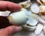 寒くなってきたら根菜たっぷりモツ煮込み作り方1写真