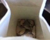 寒くなってきたら根菜たっぷりモツ煮込み作り方3写真