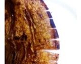 簡単！美味しい‼するめのおつまみ☆作り方6写真