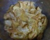 ふーちゃんぷるー作り方3写真