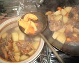 鶏と大根の中華風煮物作り方13写真