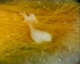 豆乳クリームパスタ作り方2写真