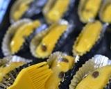 ラムレーズンの スイートポテト ♪作り方8写真