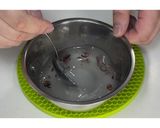 にんにくのピクルス★動画あり★作り方6写真
