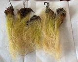 とうもろこしのひげ茶作り方1写真