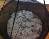 簡単☆自家製切り干し大根作り方4写真