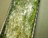ツナ缶で、てりーぬ風。作り方22写真