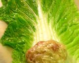 ■餃子みたいな！中華風ロール白菜■作り方3写真