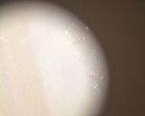 目からウロコのイカの天ぷら作り方1写真