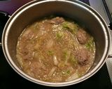 簡単☆白菜と肉団子の煮物☆春雨入り作り方4写真