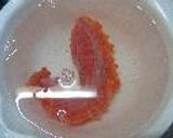 美味しい◎イクラの醤油漬け◎作り方3写真
