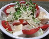 スパイスドレッシングde豆腐と色々サラダ作り方2写真