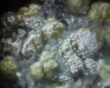 カリフラワーのコチュジャン炒め作り方1写真