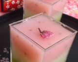 電子レンジで簡単☆手作り水ようかん作り方9写真