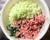 肉汁たっぷりなのに、さっぱりなギョウザ☆作り方1写真