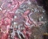 甘辛煮の肉玉うどん・関西風だしで美味作り方2写真