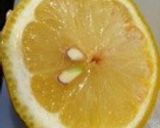 バジルチキン檸檬風味作り方3写真