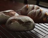 赤ワイン仕込み～クランベリーライ麦パン作り方14写真