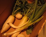 栄養満点☆大根の葉ふりかけ♪作り方5写真
