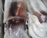 イカワタホイル焼き　ニンニクネギ味噌味作り方1写真
