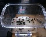 簡単で美味しい☆浅漬け☆作り方2写真