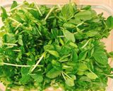 簡単おかず☆豆苗とえのきのレンチン浸し作り方2写真