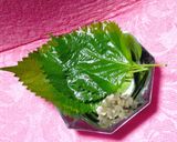 秋！戻り鰹のお造り 食べ方①さっぱり巻き編作り方2写真