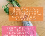 捨てないで☆うどの皮のきんぴら作り方1写真