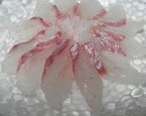 白身魚のカルパッチョ作り方2写真