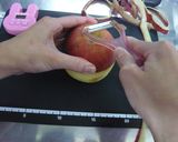 高速!りんごの皮むき!作り方4写真