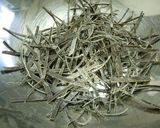ほしなまこ　がごめ昆布の松前漬け作り方1写真