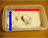 トースターで☆魚ニソのコロコロフライ作り方6写真