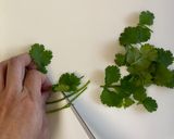 レンジでエスニック風あさりの春雨スープ作り方4写真