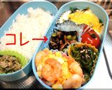 お弁当おかず集♡冷凍の作り置きver.♡作り方11写真