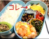 お弁当おかず集♡冷凍の作り置きver.♡作り方13写真