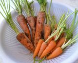 優しい味のにんじんポタージュ作り方3写真