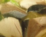 一人鍋・ぶりの水炊き・ねぎ醤油タレ添え！作り方10写真