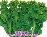 うちの味☆菜花がメイン❣とろ~りあんかけ作り方1写真