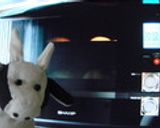 【カルダモン香る】マーマレードクグロフ作り方7写真