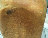 ゴールデンヨット半分だけレーズンパンドミ作り方3写真
