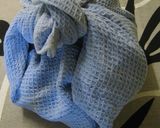 きのこの簡単保存法作り方3写真