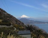 京都産九条ネギと静岡産桜えびのかき揚げ作り方8写真