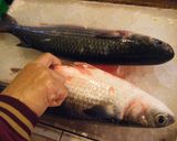 台湾料理~ぼらと干し大根の香味煮作り方1写真