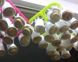 ノンオイル～紅茶シフォンケーキ作り方5写真