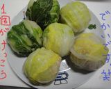 和風♡ロール白菜♡作り方5写真